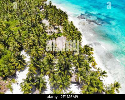 Aerial Shot of Tropical Island With Palms and Sandy Seacoast