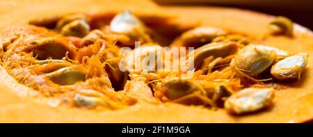 Close up view of pumpkin pulp and seeds Stock Photo