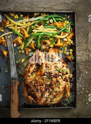 Roasted chicken with vegetables on baking tray Stock Photo
