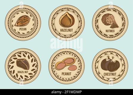 Colorful fresh nuts round labels set with different sorts of seeds on light background isolated vector illustration Stock Vector