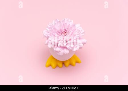 Easter 2021 A unique and real still life composition. Flower in an egg stand, greeting card in pink pastel colors. Top view with copy space. Stock Photo