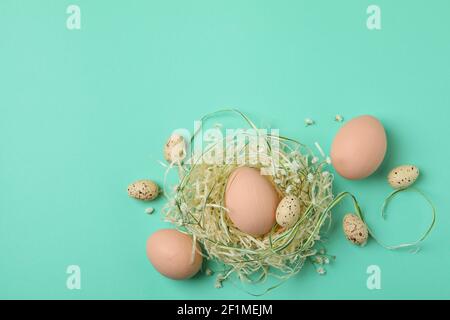 Easter eggs in a nest on a mint background, soft spring composition Stock Photo