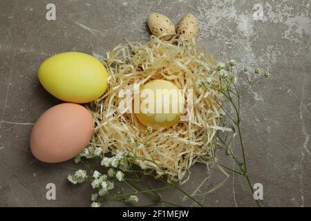 Easter eggs and gypsophila flowers on a gray textured background, soft holiday composition Stock Photo