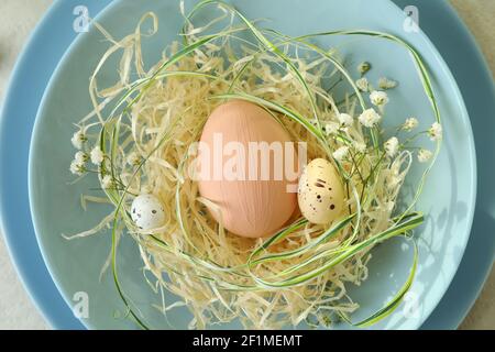 Top view of a plate with a nest, eggs and gypsophila flowers, delicate Easter table decor Stock Photo