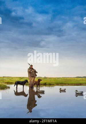 A wildfowler, or duck hunter, with his dog on a Lincolnshire salt marsh at last light by a pool with his dogs and decoys Stock Photo