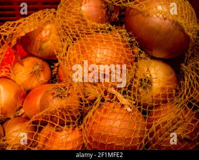 5 kg farm onions in a red pp mesh bag. Polypropylene net sack with 11 lb of  organic onions on a brown floor indoors. Buying fresh vegetables in bulk  Stock Photo - Alamy