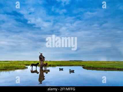 A wildfowler, or duck hunter, with his dog on a Lincolnshire salt marsh at last light by a pool with his dogs and decoys Stock Photo