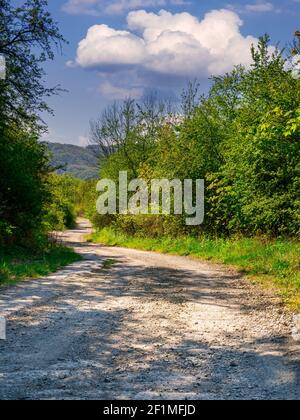 Dirt road winding through trees and bushes, with beautiful clouds in the blue sky. Stock Photo