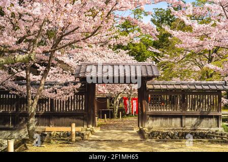 Daikaku ji Temple with cherry blossom at arashiyama, kyoto, kansai, japan Stock Photo