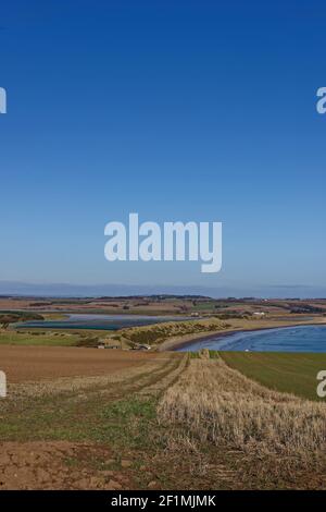 The curving coastline of Lunan Bay seen from the arable Farm Fields on top of the Cliffs towards Arbroath, on a bright day in March. Stock Photo