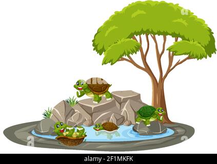 Isolated scene with many turtles around the pond illustration Stock Vector