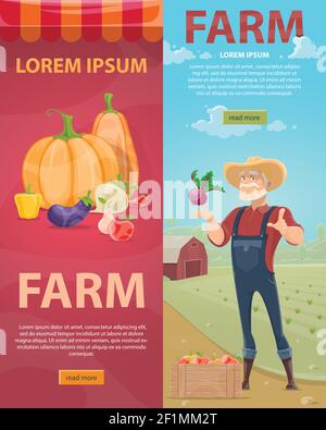 Light farming vertical banners with natural vegetables fruits and bearded farmer on green field landscape vector illustration Stock Vector