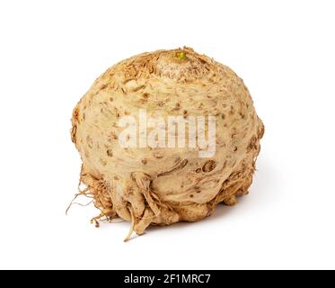 Celery root Stock Photo