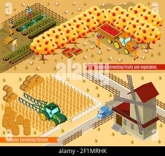 Isometric farming horizontal banners with people mill agricultural vehicles fruit vegetables and wheat harvesting process isolated vector illustration Stock Vector