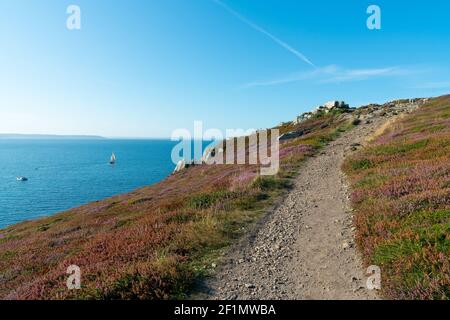 A hiking trail leading through lilac heath meadows along the wild coast of Brittany Stock Photo