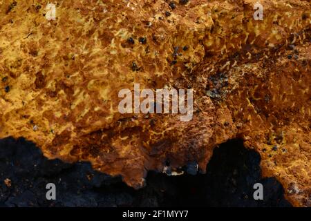 Background texture of fracture mushroom сhaga birch Stock Photo