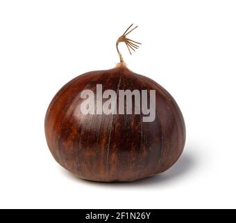 Chestnuts on a white background Stock Photo