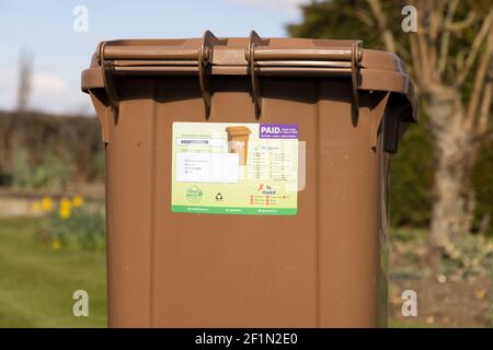 Recycling wheelie bin with Paid Garden Waste subscription sticker, issued to residents who pay to have their garden waste collected. Hertfordshire. Stock Photo