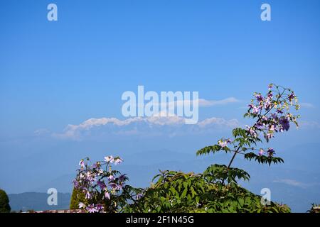 Kanchenjunga from Rishyap home stay , Kalimpong Stock Photo