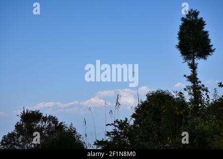 Kanchenjunga from Rishyap home stay , Kalimpong Stock Photo