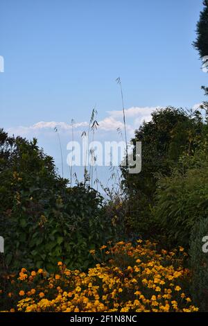 Panoramic View of Mount Kanchenjunga from Rishyap home stay , Kalimpong Stock Photo