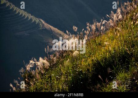 The best place to visit in Son La - another sky in Ta Xua mountain Ta Xua, Son La, Vietnam Stock Photo