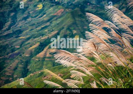 The best place to visit in Son La - another sky in Ta Xua mountain Ta Xua, Son La, Vietnam Stock Photo