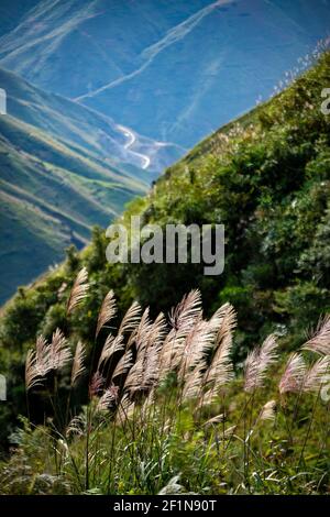 The best place to visit in Son La - another sky in Ta Xua mountain Ta Xua, Son La, Vietnam Stock Photo