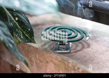 Traditional mosquito repellent coil emit smoke to repel mosquito outdoor Stock Photo