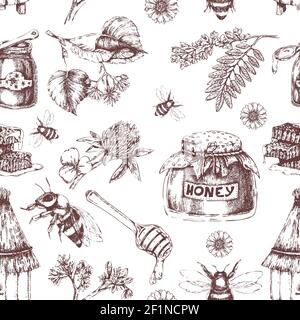 Honey hand drawn seamless pattern with hive plants pots of bee product on white background vector illustration Stock Vector