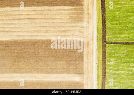 Abstract geometric shapes of agricultural parcels of different crops in yellow and green colors. Aerial view shoot from drone directly above field. High quality photo Stock Photo