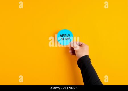Male hand holds a blue badge with the word apply now on yellow background. Job vacancy, education or membership application concept. Stock Photo