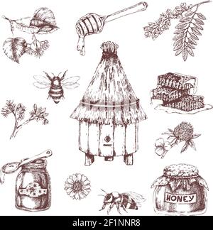 Honey elements hand drawn set with bees and hive combs branches of trees herbs isolated vector illustration Stock Vector