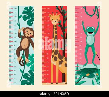 Flat design height meter set Vector illustration. Stock Vector