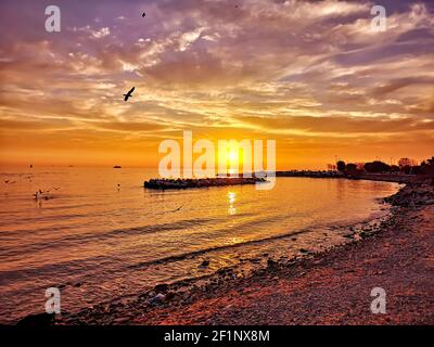 Dramatic view of sunset and sea with strong depth of field. Colorful clouds. Flying seagulls Stock Photo