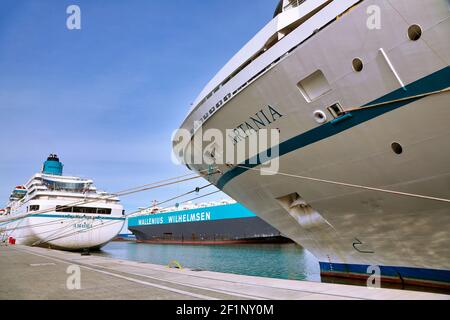 The MS Amadea und the Artania in Bremerhaven, Germany Stock Photo