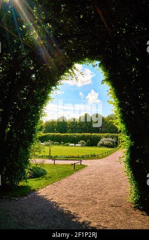 Sun rays shine through the green pergola in the public park. Stock Photo