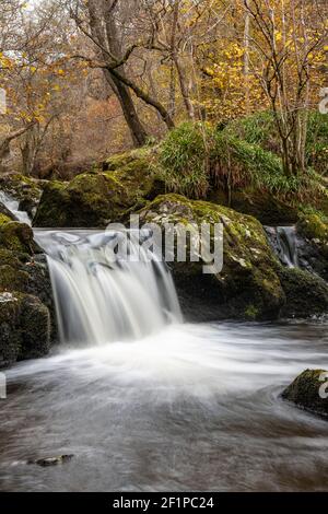 Aira Force waterfalls in autumn, Lake District, Cumbria, England Stock Photo