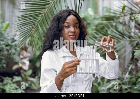 Young African woman engineer agronomist, working in a hydroponic garden, holding test tubes and flask, making scientific research, taking samples in Stock Photo