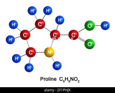 3d render of molecular structure of proline isolated over white background. Atoms are represented as spheres with color and chemical symbol coding: hy Stock Photo