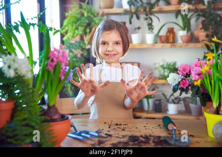 Little girl gardener plants hyacinth and shows hands soiled in the ground. Child taking care of plants. Gardening tools Stock Photo