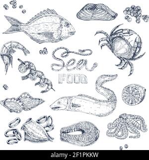 Set of isolated monochrome sketches with seafood including fishes squid and shrimps caviar and crab vector illustration Stock Vector