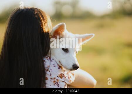 Woman hugging cute white puppy in warm sunset light in summer meadow, back view. Casual young female cuddling with adorable swiss shepherd fluffy pupp Stock Photo