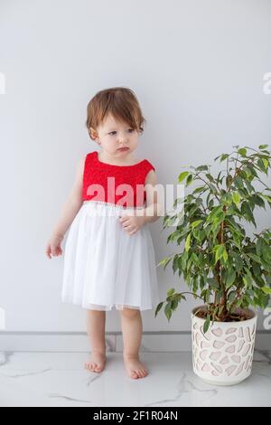 A little girl in a red shirt and skirt stands near a large house plant. Stock Photo