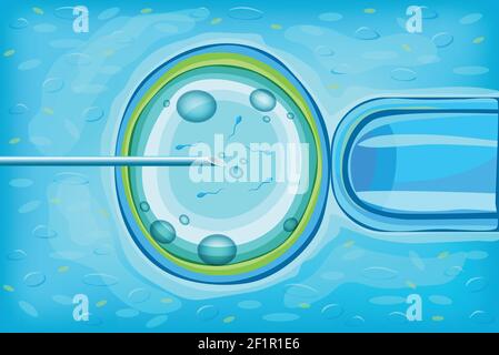 In vitro fertilization scientific concept with process of artificial insemination of woman egg vector illustration Stock Vector