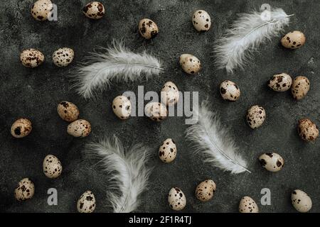 Easter pattern with eggs and feathers on dark background. Flat lay, Top view. Easter holiday concept. Stock Photo