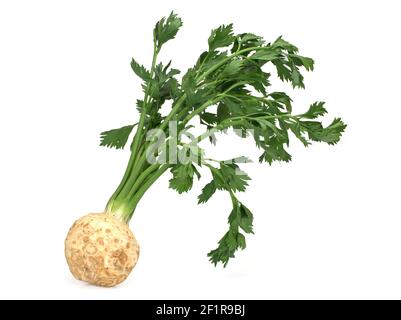 Fresh celery root with leaf isolated on white background Stock Photo