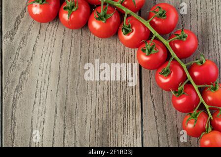 Tomatoes cherry branch Stock Photo
