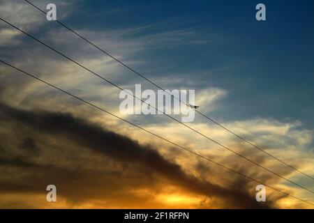 Dramatic clouds with a bird sitting on a wire. Stock Photo