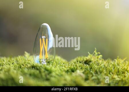 Energy of nature. Alternative energy sources concept.concept idea clean energy in nature.Energy saving lamp in green moss in the rays of the sun on Stock Photo